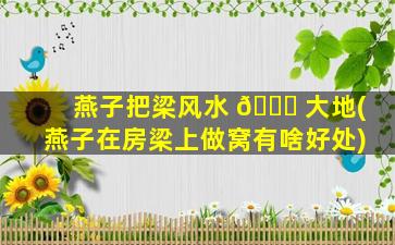 燕子把梁风水 🍀 大地(燕子在房梁上做窝有啥好处)
